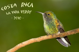 La Vida Verde